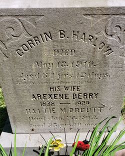 Arexene <I>Berry</I> Harlow 