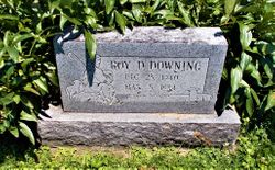 Roy David Downing 