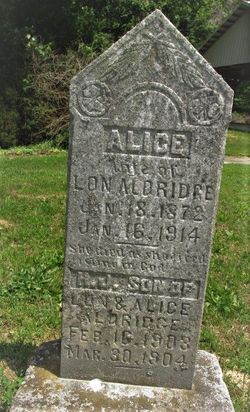 Julia Ann Alice <I>Anderson</I> Aldridge 
