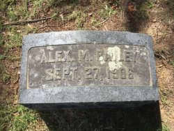 Alexander M Bailey 