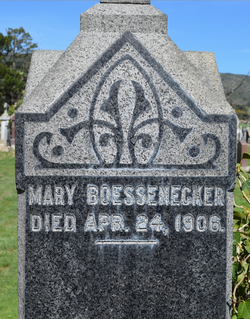 Mary A. <I>Carey</I> Boessenecker 