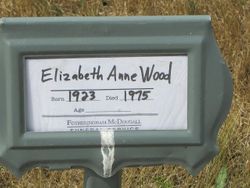 Elizabeth Anne <I>Chaplin</I> Wood 
