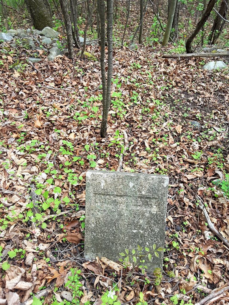Peake-Finch Cemetery