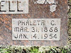 Phaleta C <I>Herr</I> Gatchell 