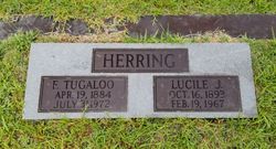 Lucile Harris <I>Johnston</I> Herring 