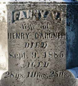 Fanny Viola <I>Howard</I> Gardner 