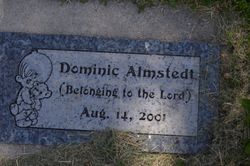 Dominic Almstedt 