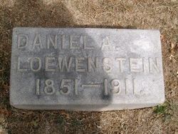 Daniel A Loewenstein 