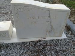 Nancy Elizabeth “Nannie” <I>Brantley</I> Armstrong 