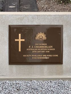 Francis Joseph Chamberlain 