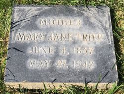 Mary Jane <I>Bashaw</I> Tripp 