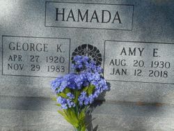 Amy E. Hamada 