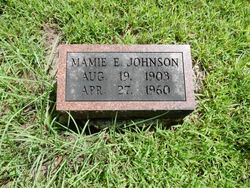 Mamie E <I>Bain</I> Johnson 