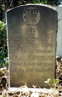 Celia <I>Doniger</I> Friedman 