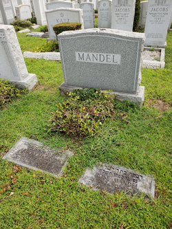 Aaron Mandel 