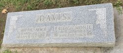 Raleigh Monte Davis 