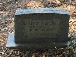 Alice Williams Barnes 