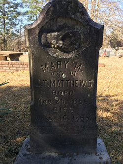 Mary Matilda <I>Barham</I> Matthews 