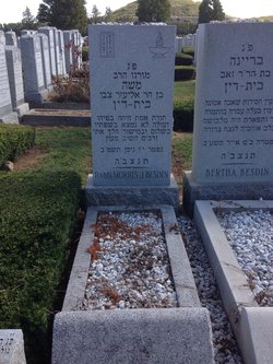 Rabbi Moshe Besdin 