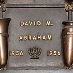 David M Abraham 