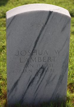 Joshua W Lambert 