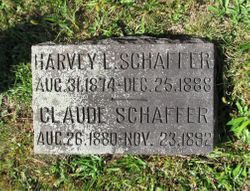 Harvey L Schaffer 