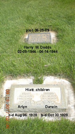 Harry M. Dodds 