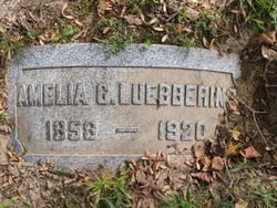 Amelia C Luebbering 