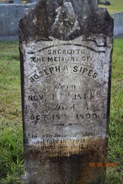 Joseph A Sipes 