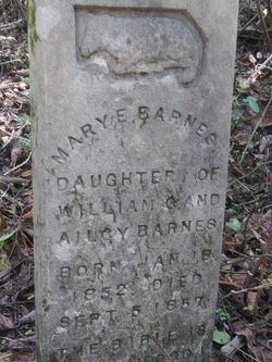 Mary E. Barnes 