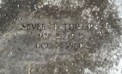 Arver <I>Phillips</I> Phillips 