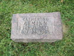 Catherine <I>Damm</I> Geminn 