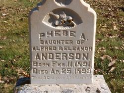 Phebe Ann Anderson 
