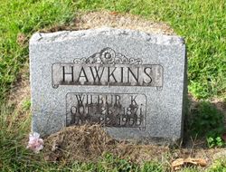 Wilbur King Hawkins 