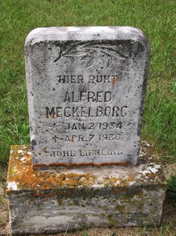 Alfred Meckelborg 
