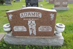 Anton Adamic 
