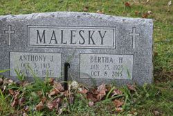 Anthony Malesky 
