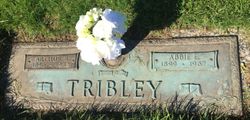 Abbie E. Tribley 
