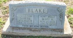 Samuel T. Blake 