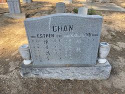 Esther Chan 