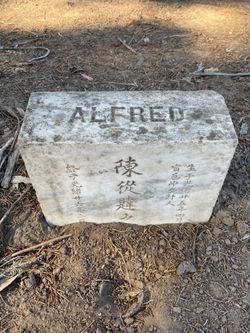 Alfred Chan 