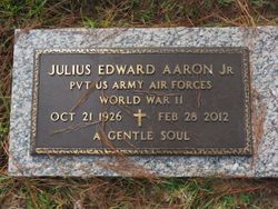Julius Edward Aaron Jr.