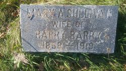Mary A <I>Sullivan</I> Barry 