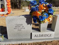 Cathy Aldridge 