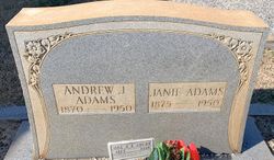 Andrew Jackson Adams 