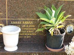 Abbas Abbas 