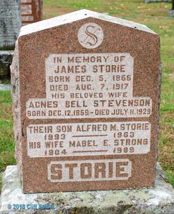 Alfred McDonald Storie 