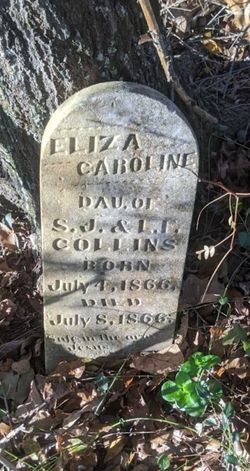 Eliza Caroline Collins 