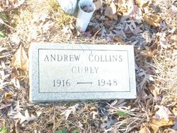 Andrew Collins Curly 