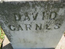 David Carnes 
